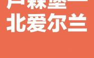 开云体育APP下载-卢森堡不敌爱尔兰，力战无缘胜利